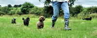 Trooping the family and the cat!