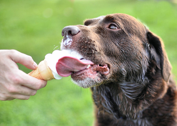 Ice cream!!