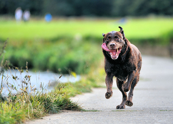 Bobby running the calories off..