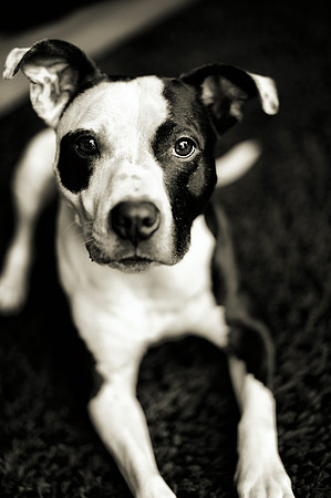Milly