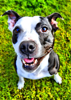 Milly