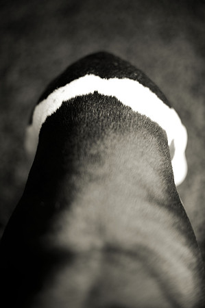 Markings