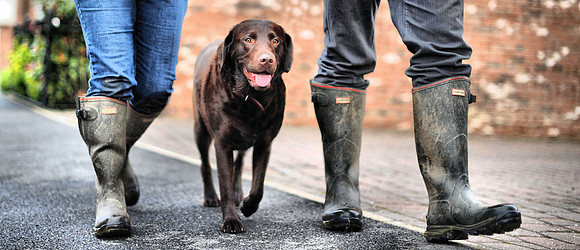 Welly Walking