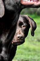 Watching you!