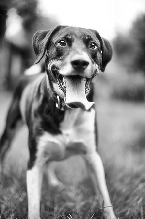 Throw it again!!