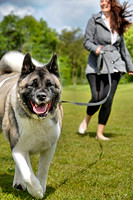 Walkies!