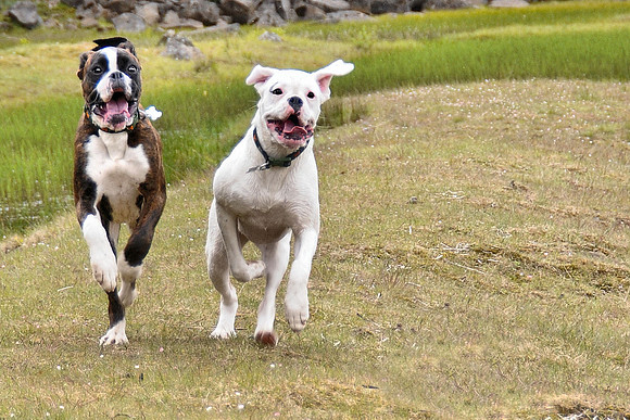 Lola and Beryl