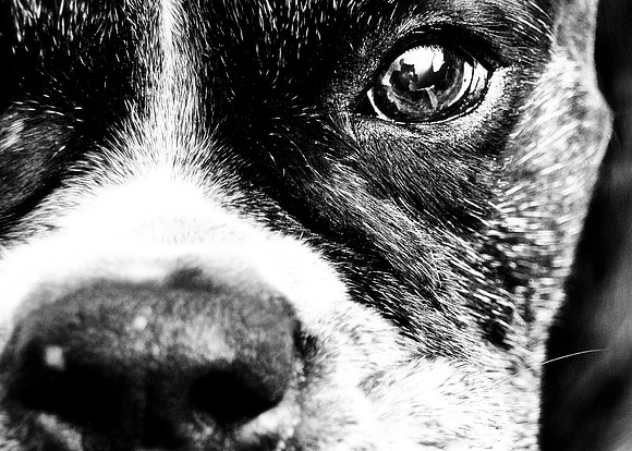 The window to her soul